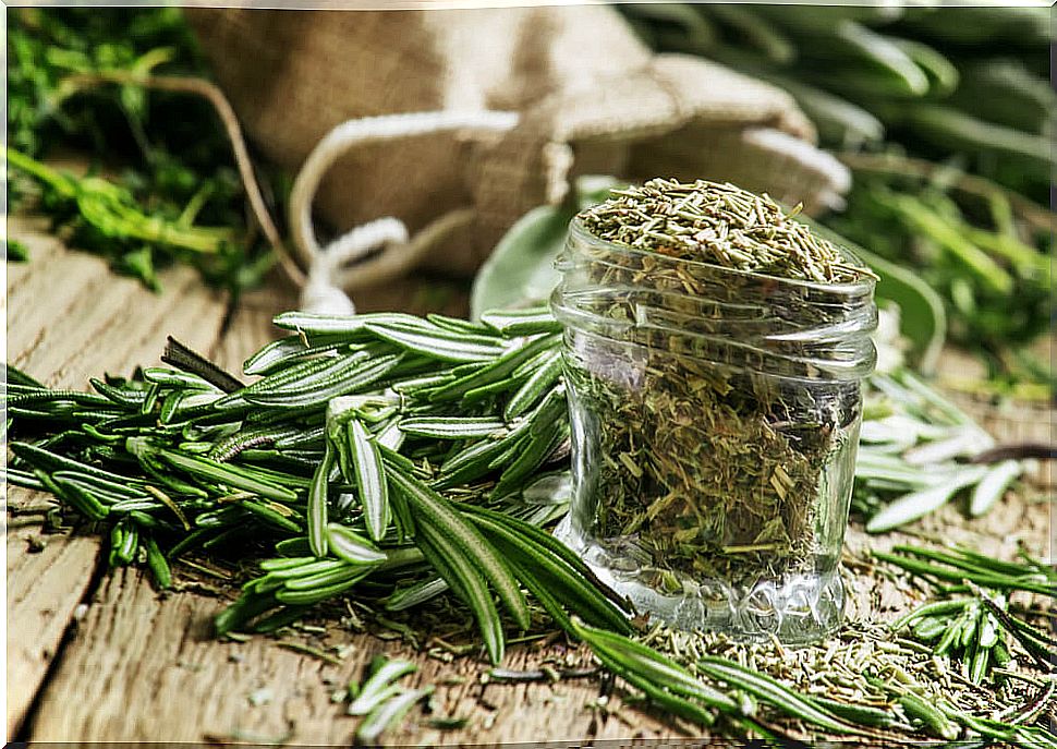 Rosemary to take care of your hair