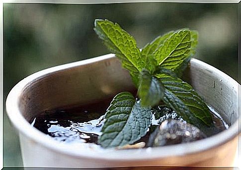 Healing uses of peppermint