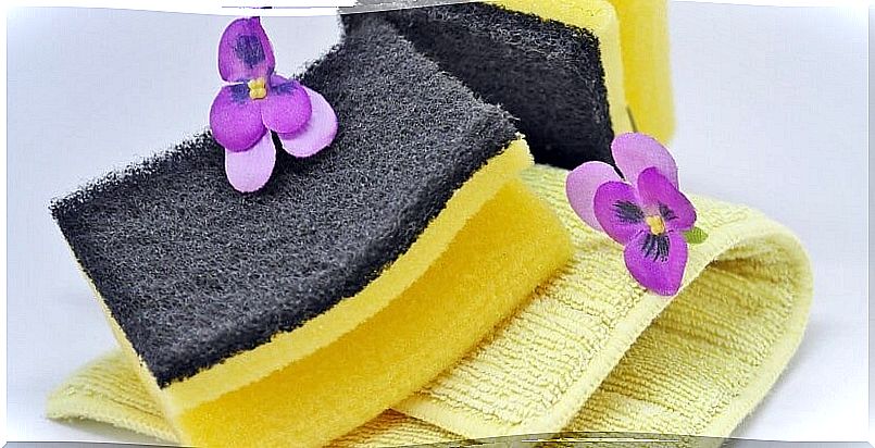 scourers for cleaning