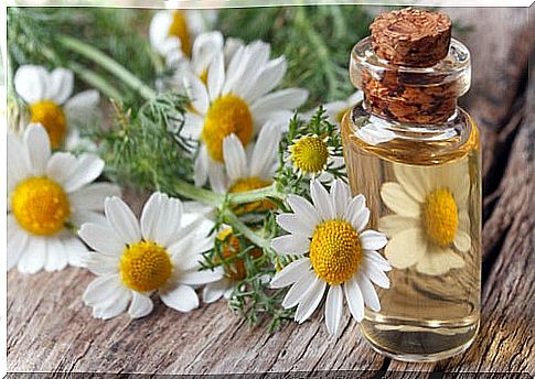 Roman chamomile massage for menopausal hot flashes