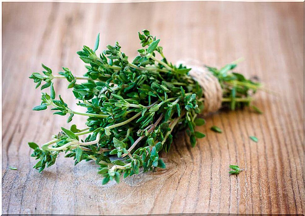 Thyme to treat vaginal yeast