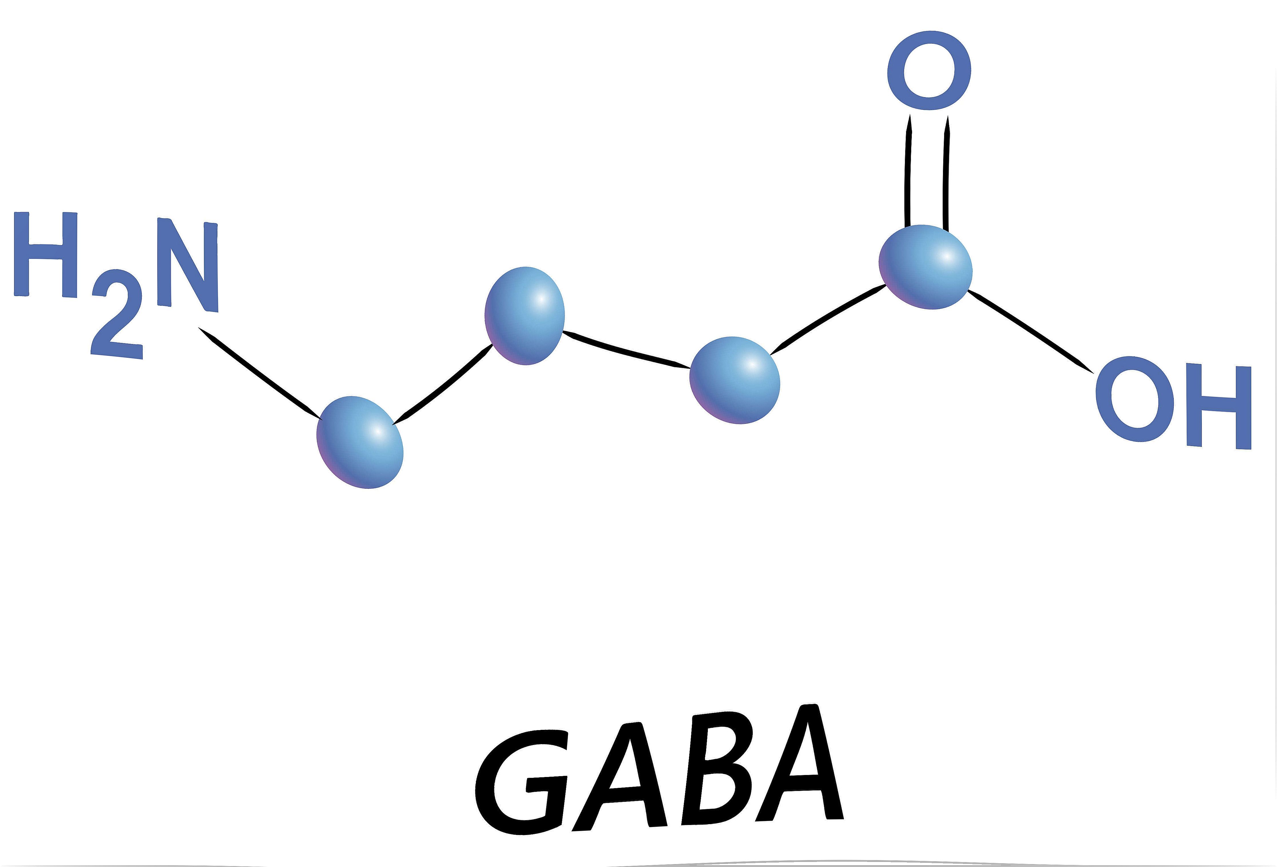 GABA Pharmacology