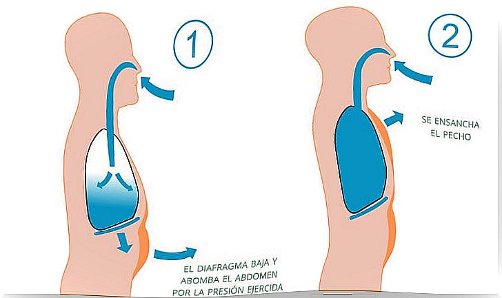 abdominal-breathing