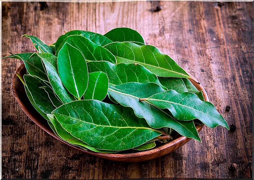 bay-leaves