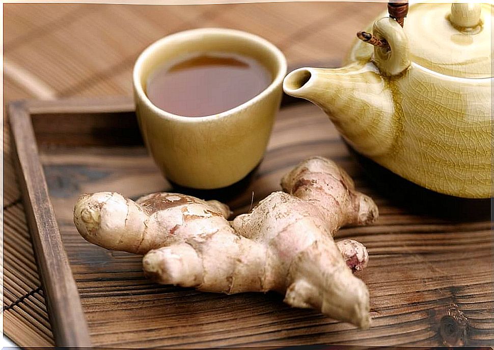 ginger to treat nausea during pregnancy