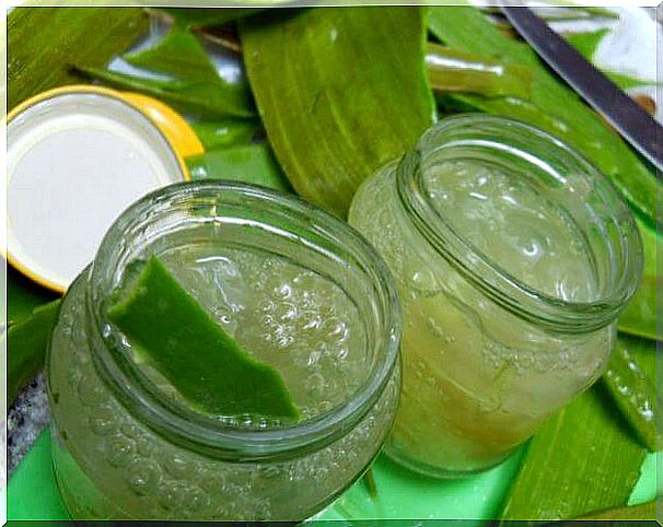 Homemade aloe vera cream