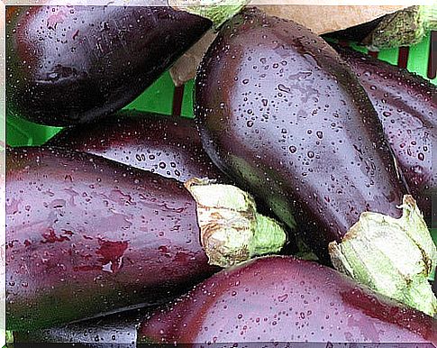 aubergines