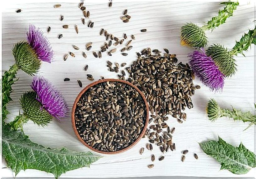 Milk thistle is one of the most popular remedies for an inflamed liver.