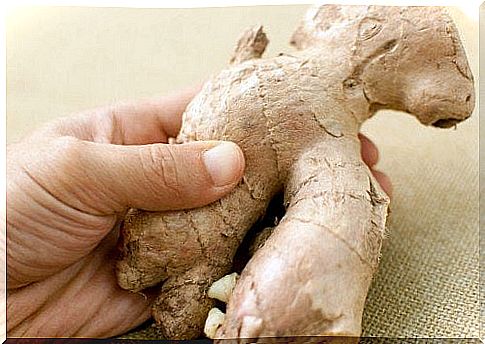 Ginger as a home remedy