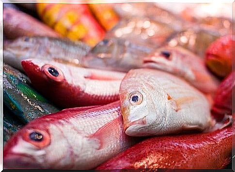 Fish is rich in mercury.