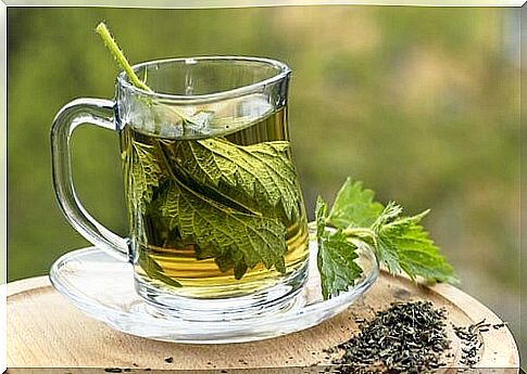 Nettle infusion for fluid retention