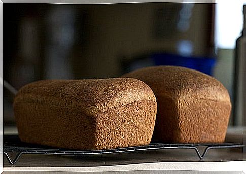 chiot's run whole wheat bread