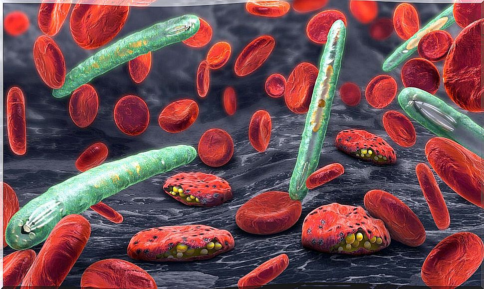 Sick cells from malaria.