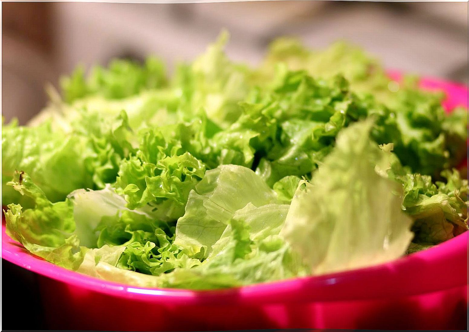 Variety of lettuce